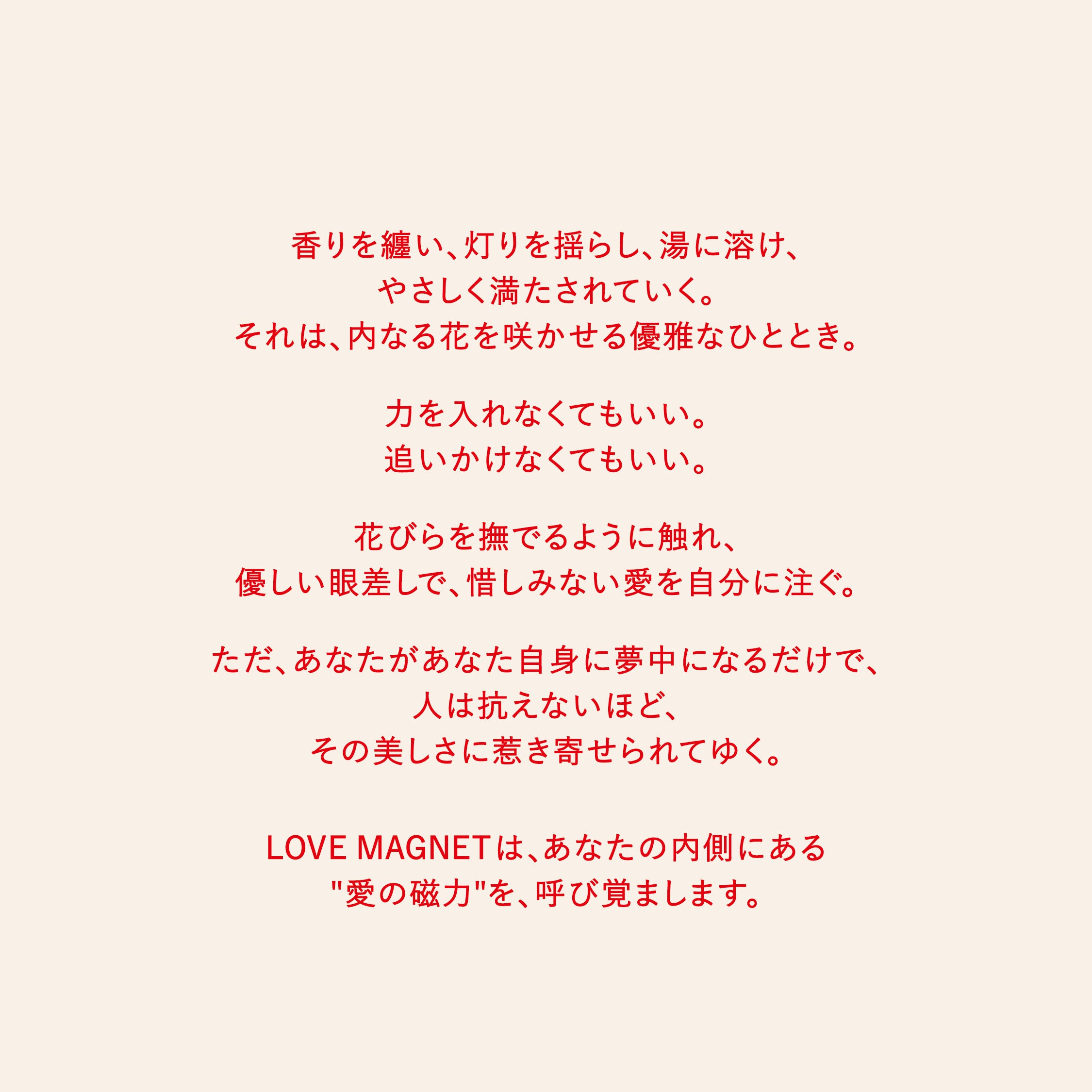 【数量限定】 LOVE MAGNET -Midsummer Night-