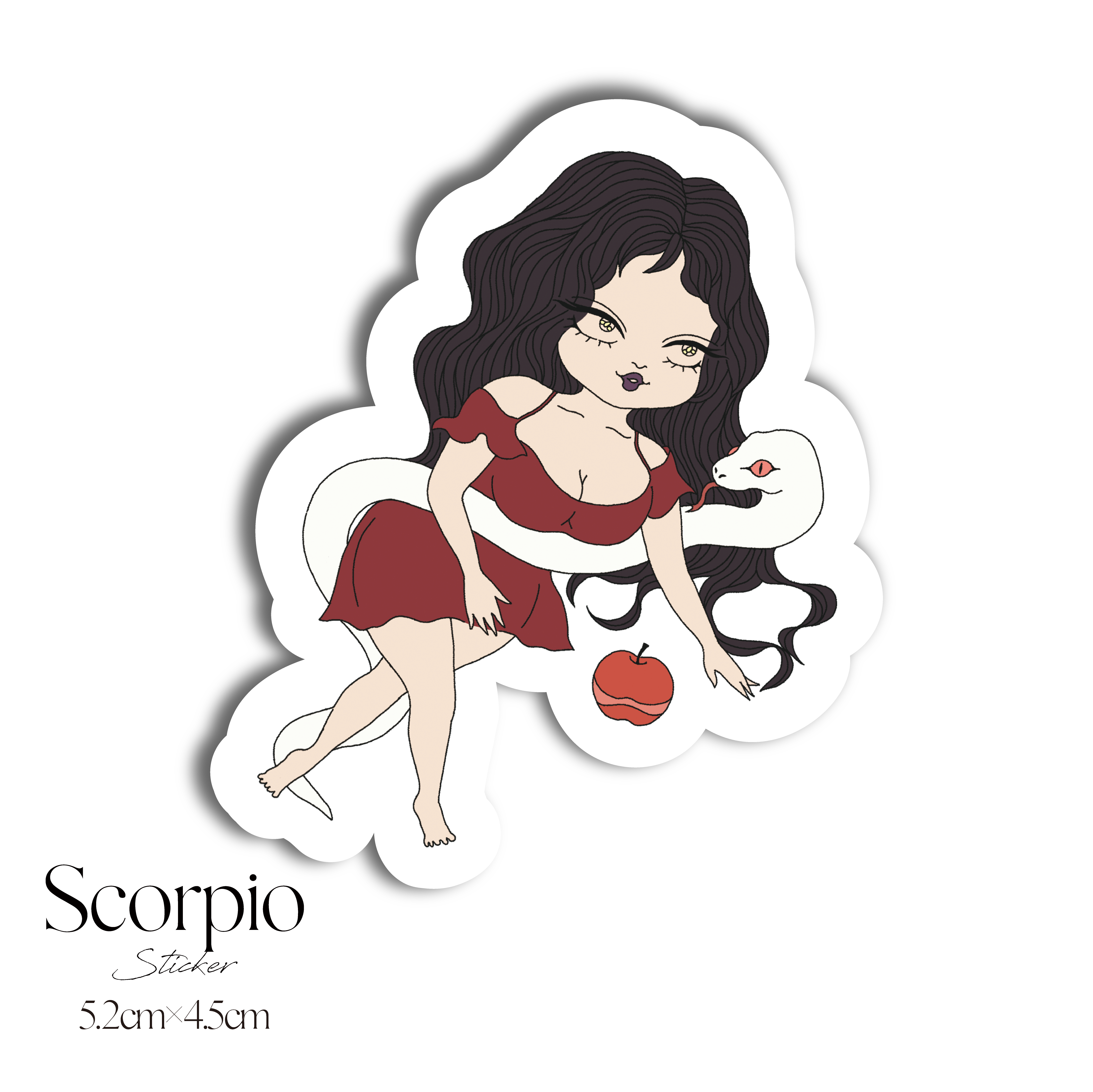 ★☆360円OFF☆★ 【Scorpio Birthday Sale】 Scorpio Bセット